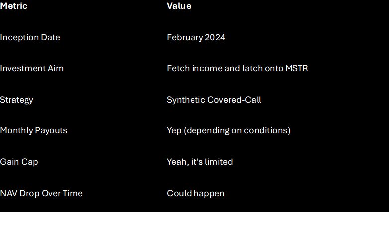 MSTY ETF performance highlights