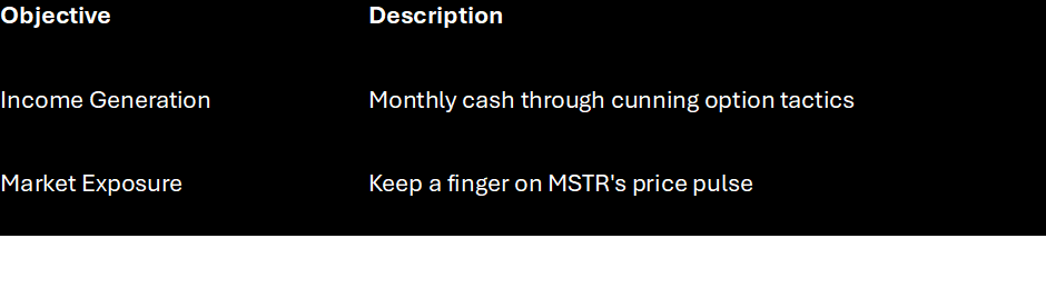 This table shows the main focus of MSTY is income generation and Market Exposure to MSTR.