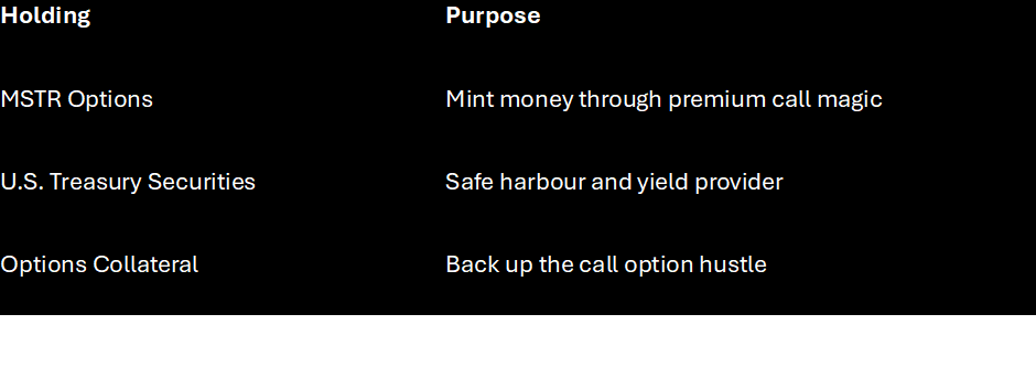 A table showing the inner workings of the MSTY YieldMax™ MSTR Option Income Strategy ETF