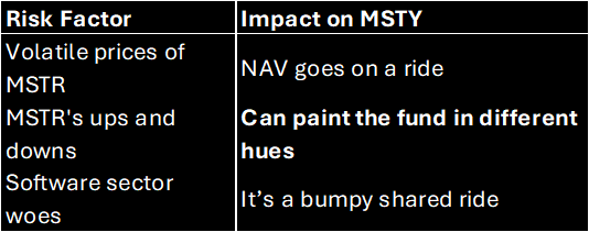 A table show what risk factors can impact MSTY dividend ETF